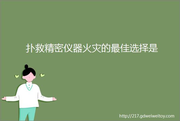 扑救精密仪器火灾的最佳选择是